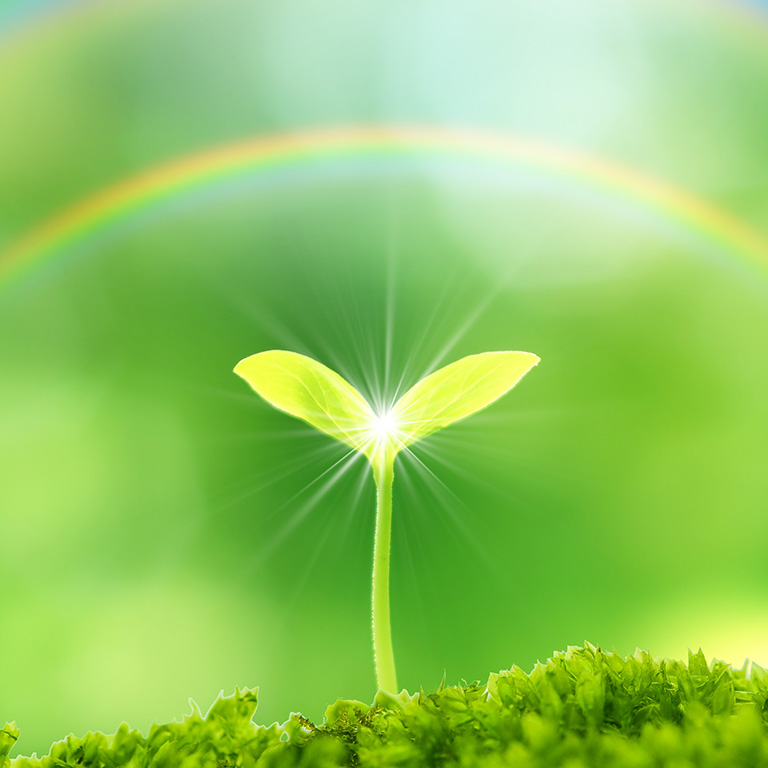 どうすれば孤独を解消できる？